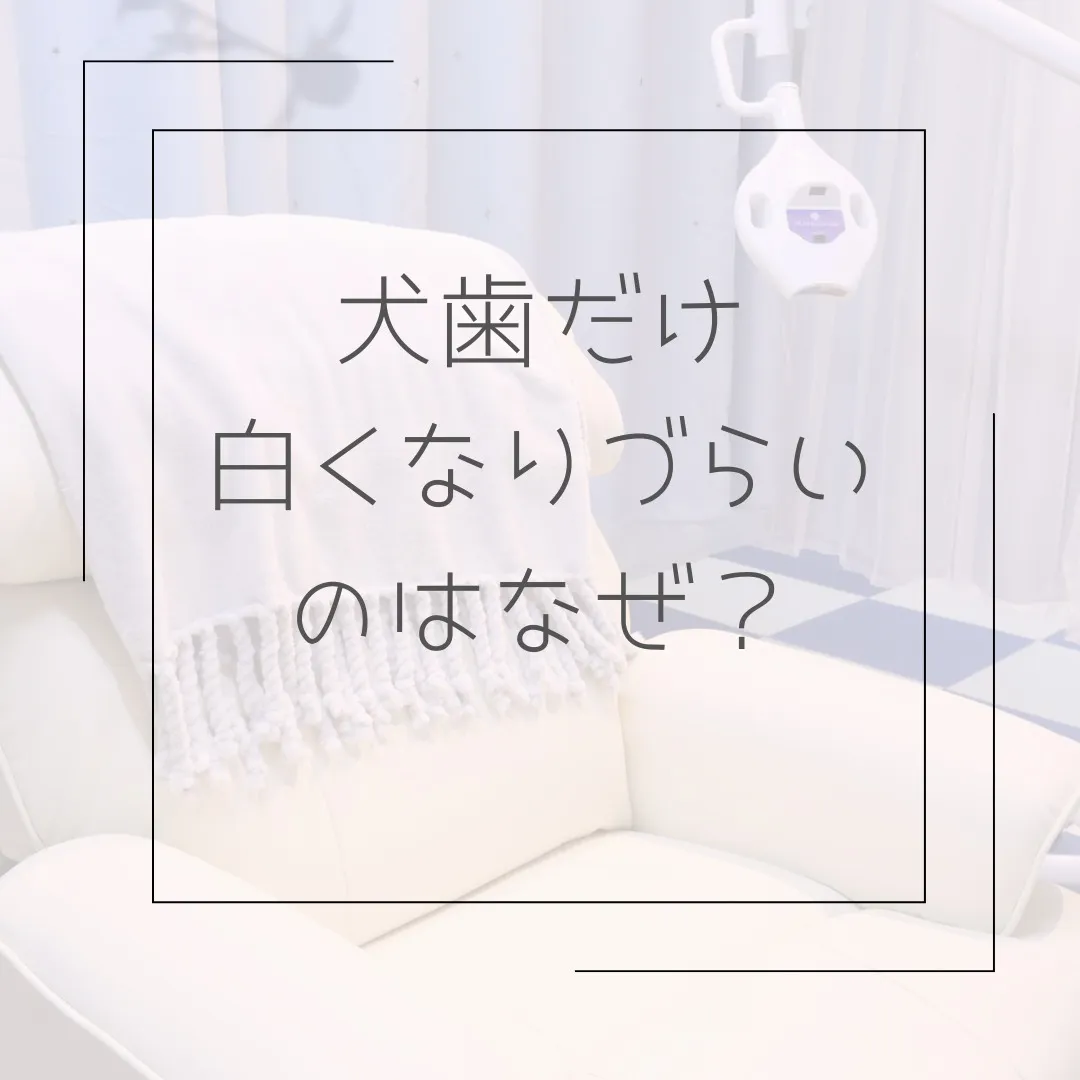 犬歯の黄ばみ気になりませんか?